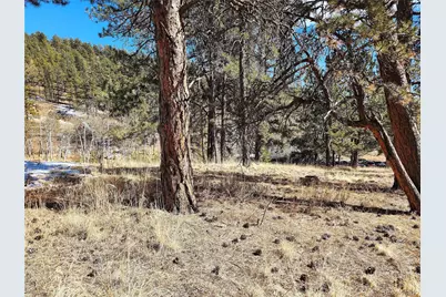 144 Gray Street, Bailey, CO 80421 - Photo 22