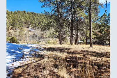 144 Gray Street, Bailey, CO 80421 - Photo 20