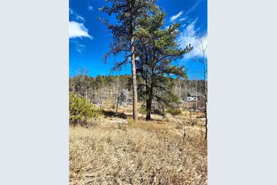 144 Gray Street, Bailey, CO 80421 - Photo 14