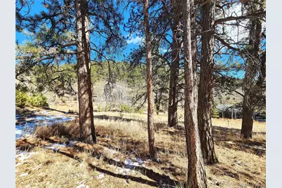 144 Gray Street, Bailey, CO 80421 - Photo 24