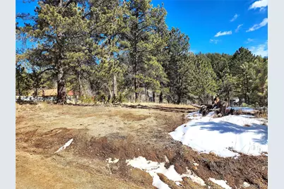 144 Gray Street, Bailey, CO 80421 - Photo 18