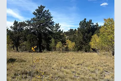 890 McDowell Drive, Jefferson, CO 80456 - Photo 6