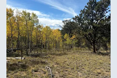890 McDowell Drive, Jefferson, CO 80456 - Photo 4