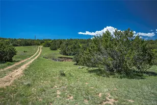 324 Chaps Ct, Walsenburg, CO 81089 - Photo 36