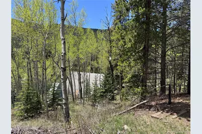 190 Blue Bell Lane, Idaho Springs, CO 80452 - Photo 14