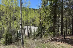 190 Blue Bell Ln, Idaho Springs, CO 80452 - Photo 14