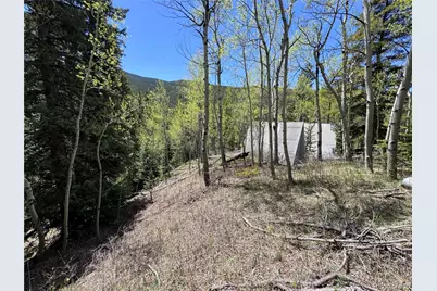 190 Blue Bell Lane, Idaho Springs, CO 80452 - Photo 4