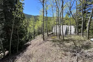 190 Blue Bell Ln, Idaho Springs, CO 80452 - Photo 4