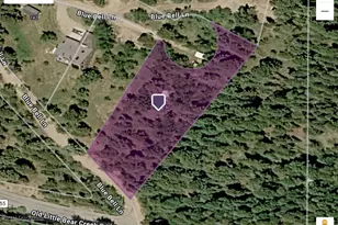 190 Blue Bell Ln, Idaho Springs, CO 80452 - Photo 2