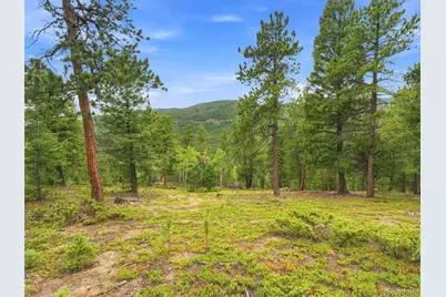 31084 Forest Shadow Trail, Conifer, CO 80433 - Photo 22