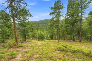 31084 Forest Shadow Trl, Conifer, CO 80433 - Photo 22
