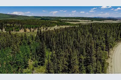 4100 Co Rd 1, Fairplay, CO 80440 - Photo 12