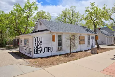 703 Brome Place, Lafayette, CO 80026 - Photo 44