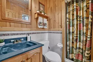 599 Vigilante Ave, Bailey, CO 80421 - Photo 28
