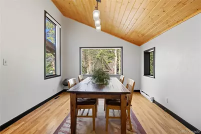 401 Lake Road, Idaho Springs, CO 80452 - Photo 14