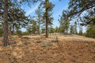 957 Arapahoe Drive, Florissant, CO 80816 - Photo 32