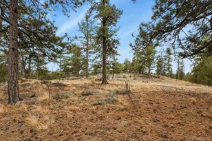 957 Arapahoe Dr, Florissant, CO 80816 - Photo 32