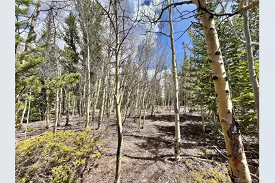 2203 Lakeside Drive, Fairplay, CO 80440 - Photo 4