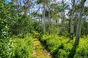 6903 Bellyache Ridge Rd, Wolcott, CO 81655 - Photo 50