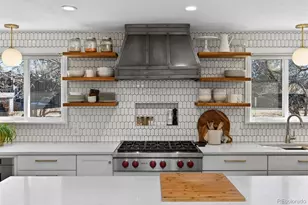 4864 E Links Cir, Centennial, CO 80122 - Photo 4