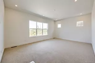 444 Agoseris Wy, Castle Rock, CO 80104 - Photo 8