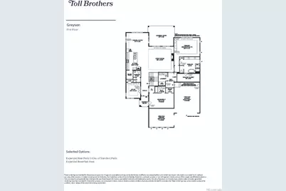 444 Agoseris Way, Castle Rock, CO 80104 - Photo 12