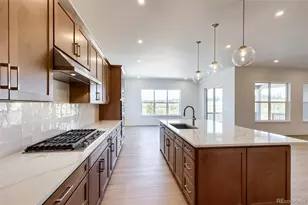 444 Agoseris Wy, Castle Rock, CO 80104 - Photo 6