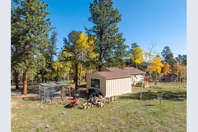 196 Beaver Trail, Bailey, CO 80421 - Photo 36