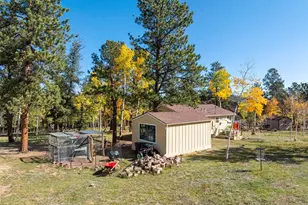 196 Beaver Trail, Bailey, CO 80421 - Photo 36