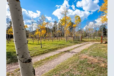 196 Beaver Trail, Bailey, CO 80421 - Photo 4