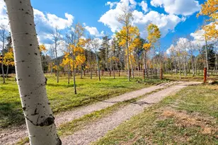 196 Beaver Trail, Bailey, CO 80421 - Photo 4