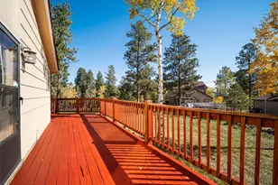 196 Beaver Trail, Bailey, CO 80421 - Photo 42
