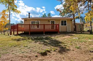 196 Beaver Trail, Bailey, CO 80421 - Photo 1