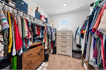 91 Lullaby Lane, Castle Rock, CO 80109 - Photo 26