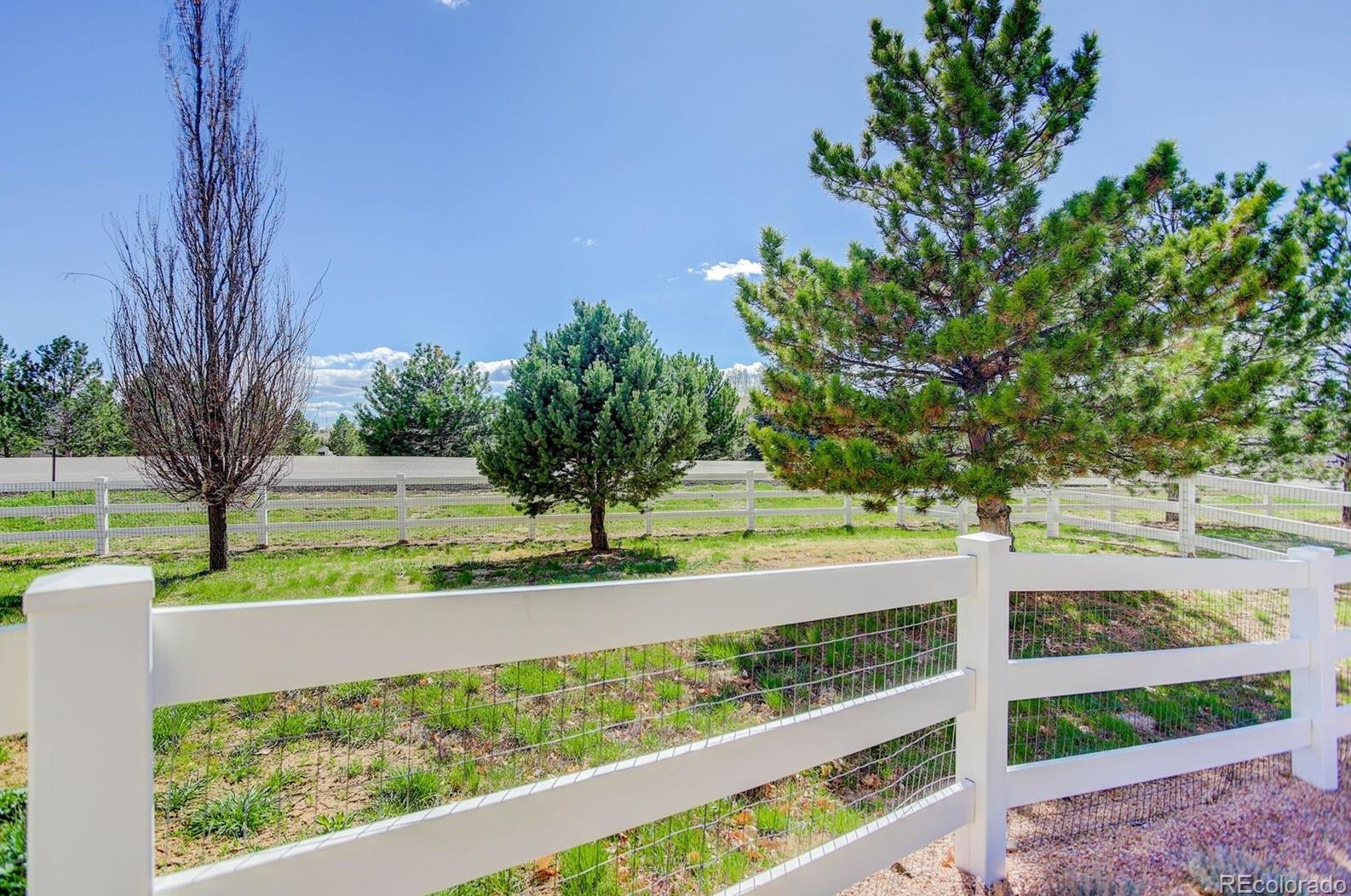 41355 Farmhouse Cir, Parker CO  80138-4697 exterior