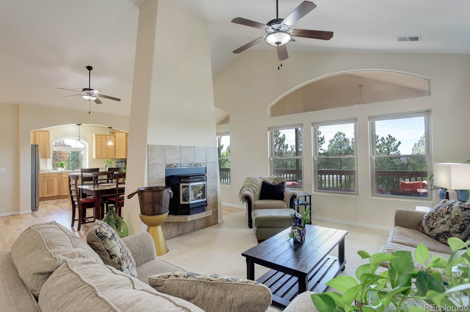 41355 Farmhouse Cir, Parker CO  80138-4697 exterior