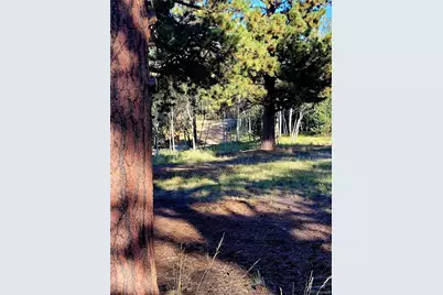 1080 Brahma Circle, Hartsel, CO 80449 - Photo 22