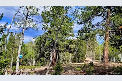 1080 Brahma Circle, Hartsel, CO 80449 - Photo 12