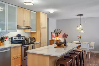 700 N Washington Street #205, Denver, CO 80203 - Photo 10