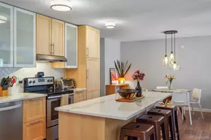 700 N Washington Street, Denver, CO 80203 - Photo 10