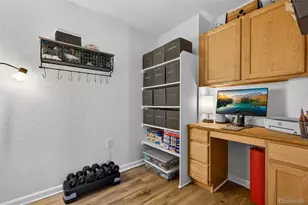 1541 Dawson Butte Way, Castle Rock, CO 80109 - Photo 24