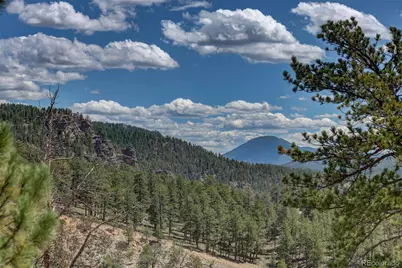 304 Virginia Road, Bailey, CO 80421 - Photo 20