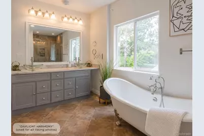 740 Deer Clover Circle, Castle Rock, CO 80108 - Photo 8