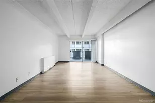 1265 Race St, Denver, CO 80206 - Photo 10