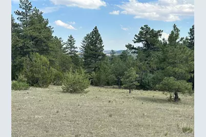 [Address not provided], Beulah, CO  - Photo 12