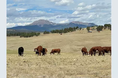 3255 Ranch Road, Hartsel, CO 80449 - Photo 28