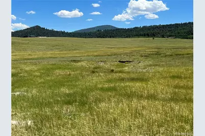 3255 Ranch Road, Hartsel, CO 80449 - Photo 10