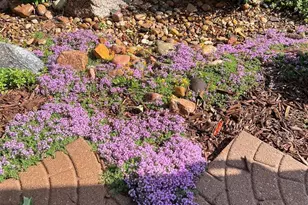 14881 E 116th Dr, Commerce City, CO 80603 - Photo 28