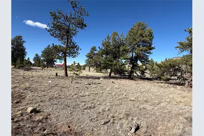616 Guipago Trail, Hartsel, CO 80449 - Photo 4