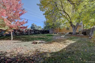 795 Jasmine St, Denver, CO 80220 - Photo 44